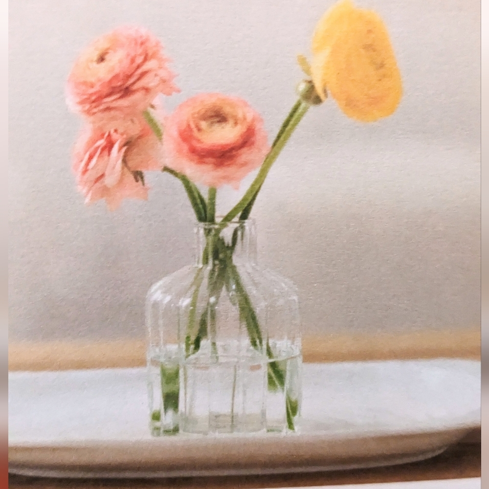 Jilly box items, Spring 2024
